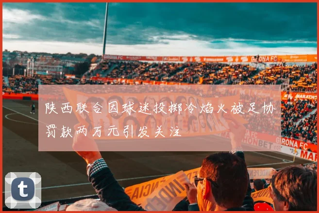 陕西联合因球迷投掷冷焰火被足协罚款两万元引发关注