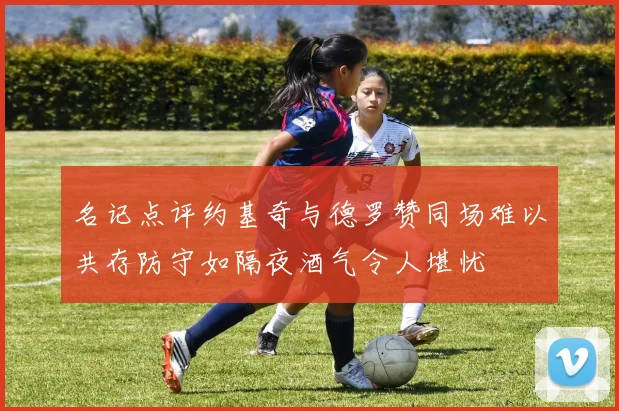 名记点评约基奇与德罗赞同场难以共存防守如隔夜酒气令人堪忧